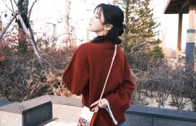 属马人2025年12月份运势全分析和指南 生肖马在2025年的运势